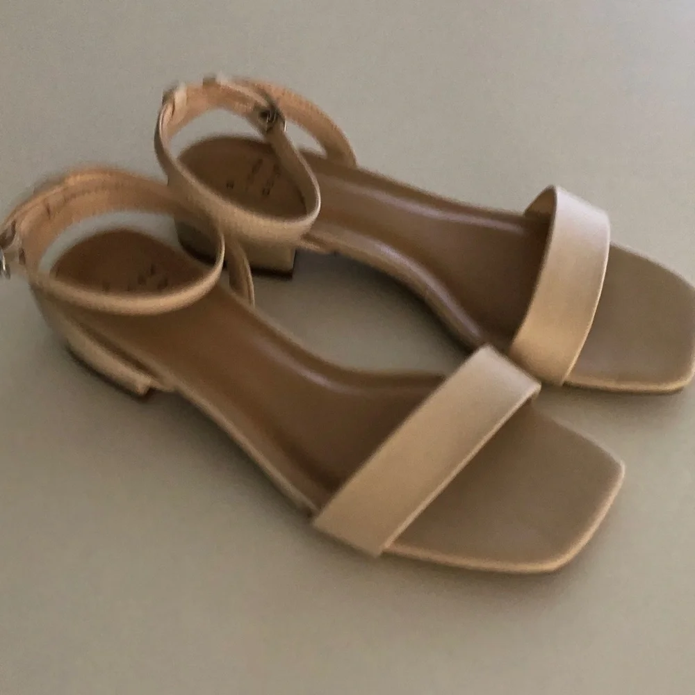 NEW Target A New Day Classic Nude Ankle-Strap Flat Sandals NWOT